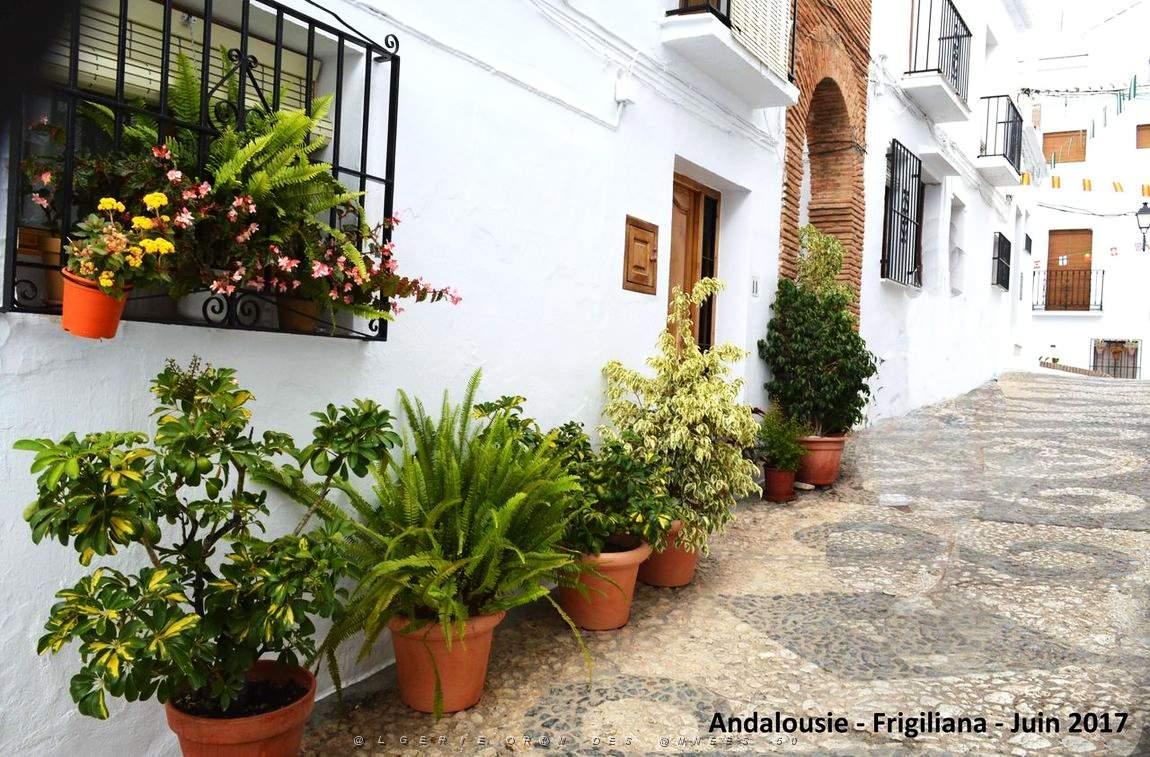 550 - Frigiliana.JPG